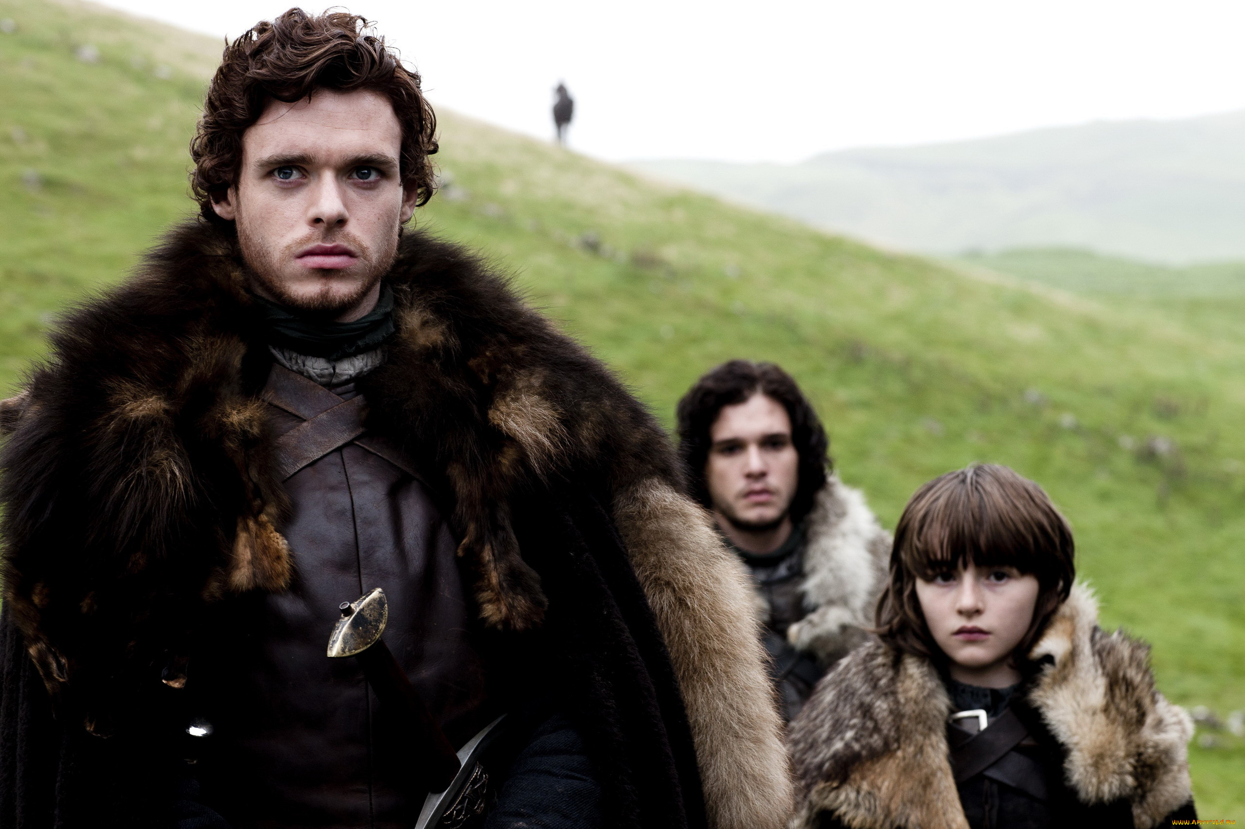  , game of thrones , , robb, stark